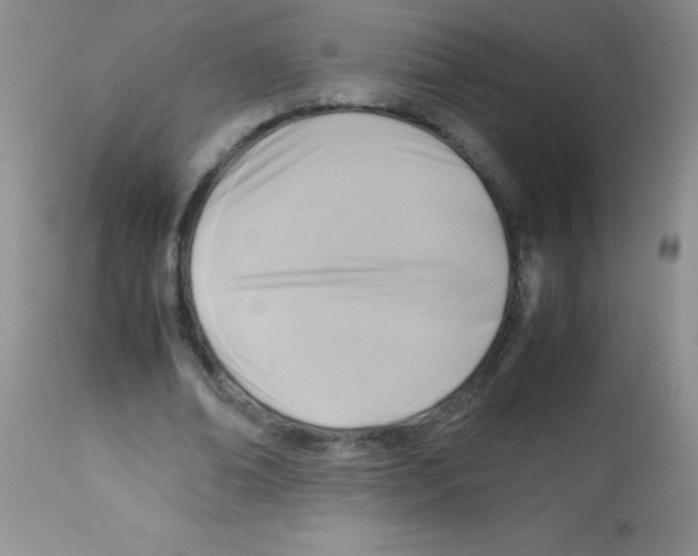 X0000113220678200910221125