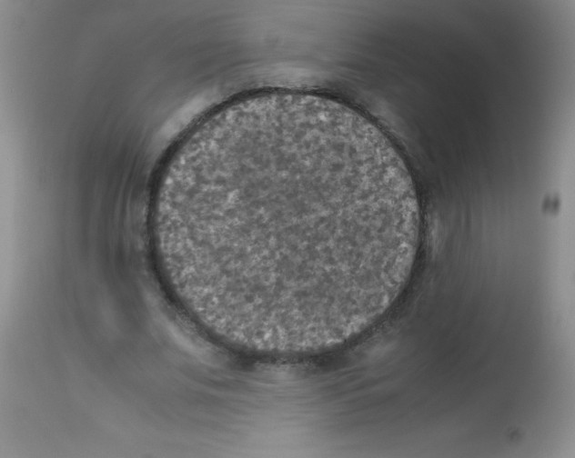 X0000113220679200910221125