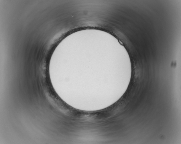 X0000113220680200910221125