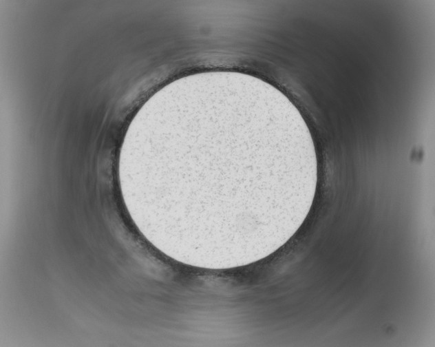X0000113220681200910221125