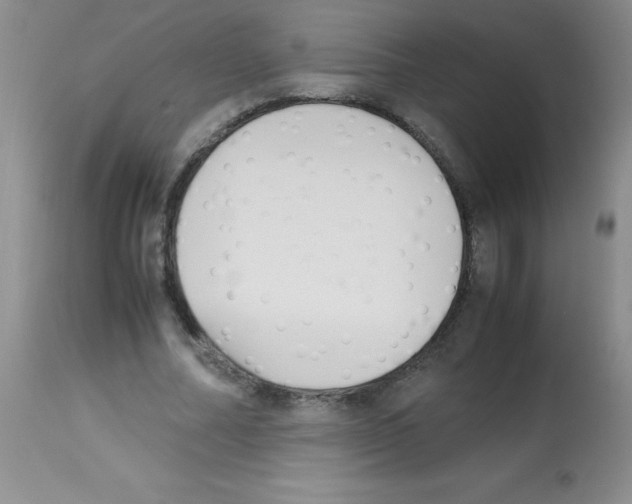 X0000113220682200910221125