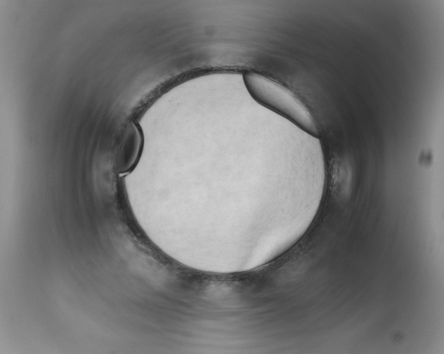 X0000113220684200910221125