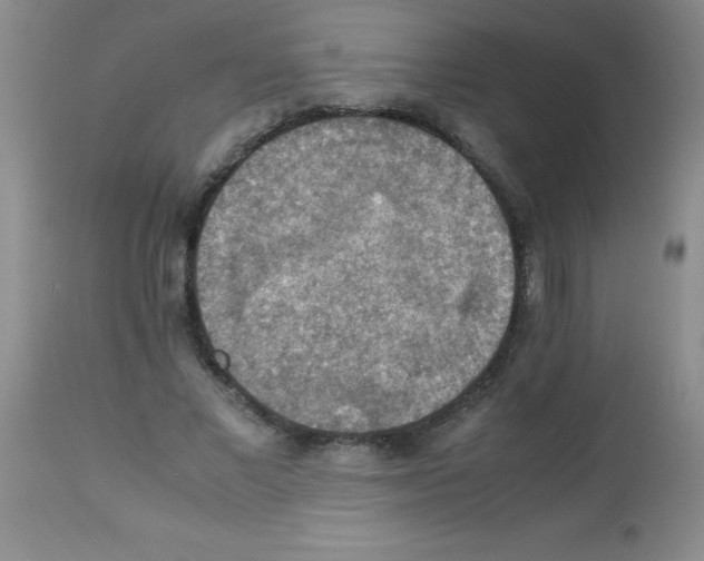 X0000113220685200910221125