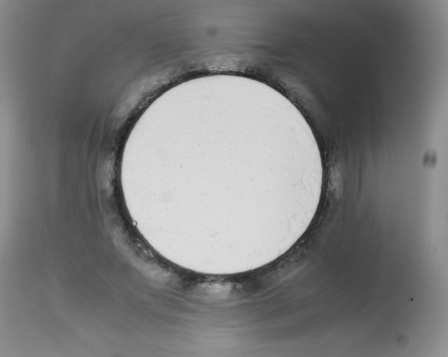 X0000113220687200910221125