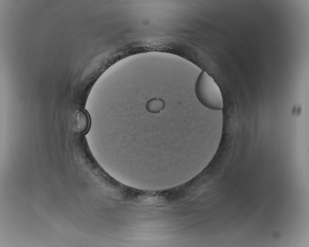 X0000113220689200910221125