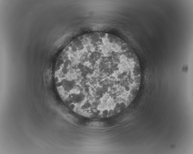 X0000113220691200910221125