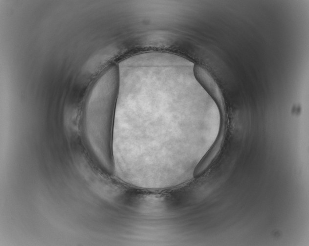 X0000113220692200910221125