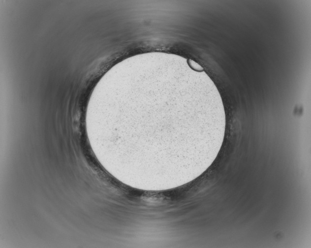 X0000113220693200910221125