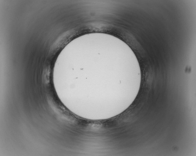 X0000113220694200910221125
