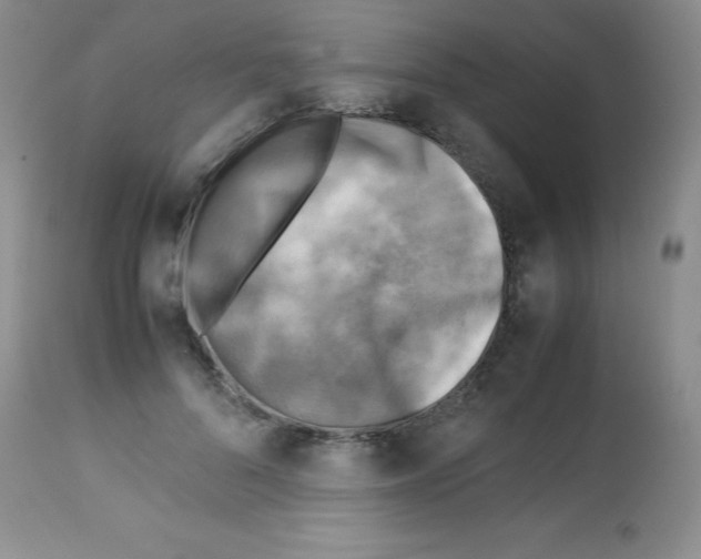 X0000113220696200910221125