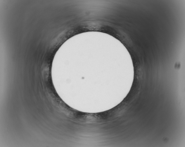 X0000113220697200910221125