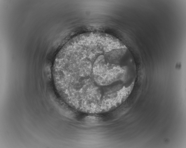 X0000113220699200910221125