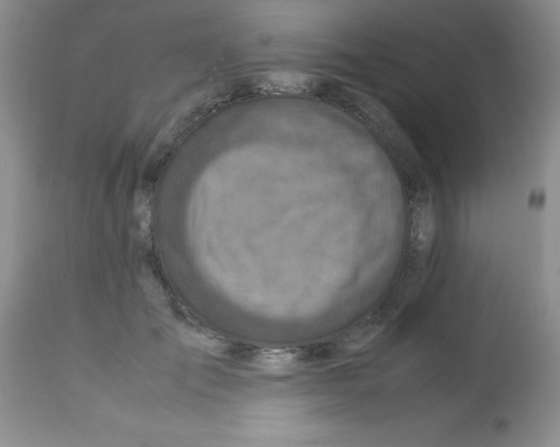 X0000113220701200910221125
