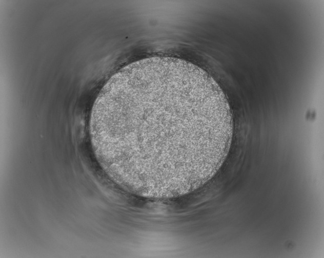 X0000113220703200910221125