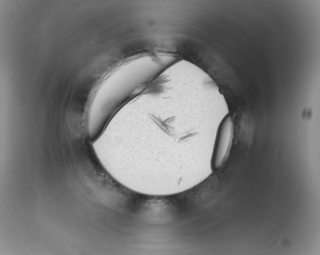 X0000113220704200910221125