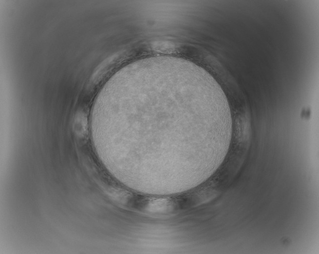 X0000113220705200910221125