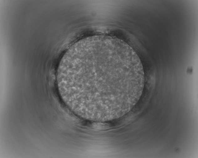 X0000113220707200910221125