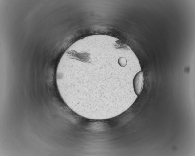 X0000113220708200910221125