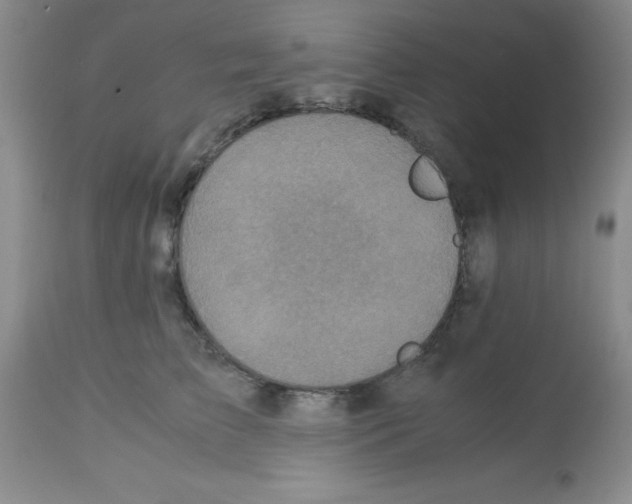 X0000113220709200910221125