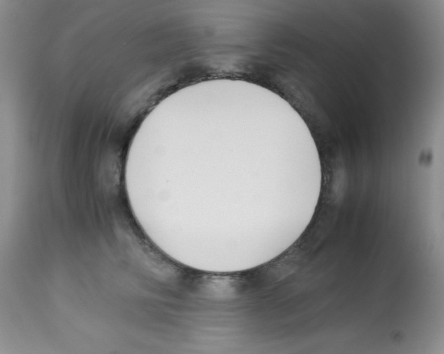X0000113220710200910221125