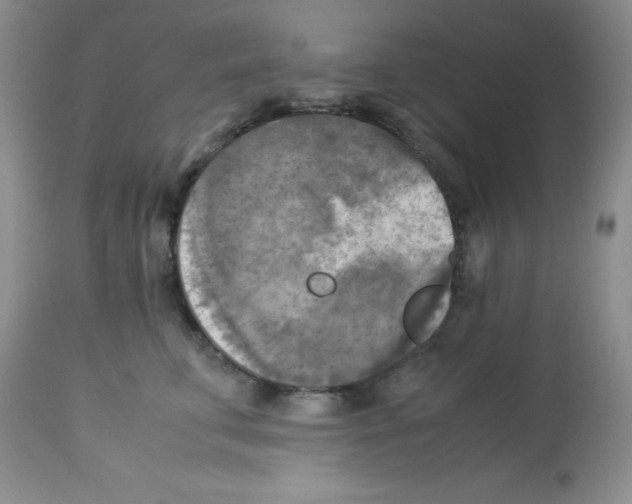 X0000113220711200910221125