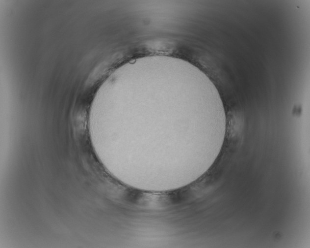 X0000113220713200910221125