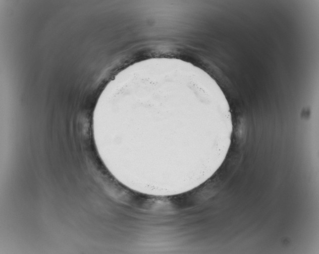 X0000113220715200910221124