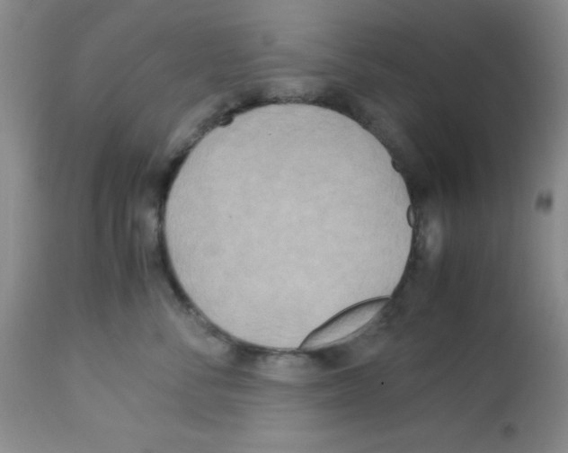X0000113220716200910221124