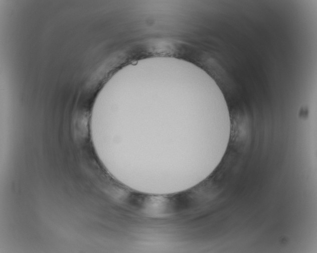 X0000113220717200910221124