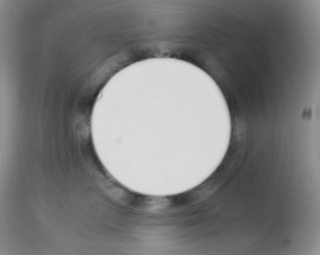 X0000113220719200910221124
