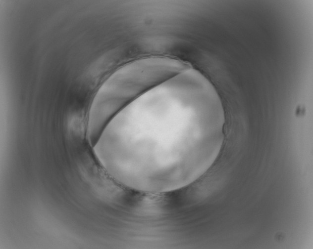 X0000113220720200910221124