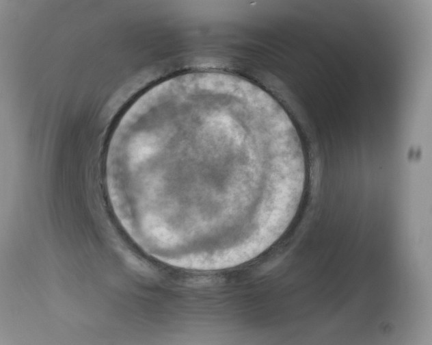 X0000113220721200910221124