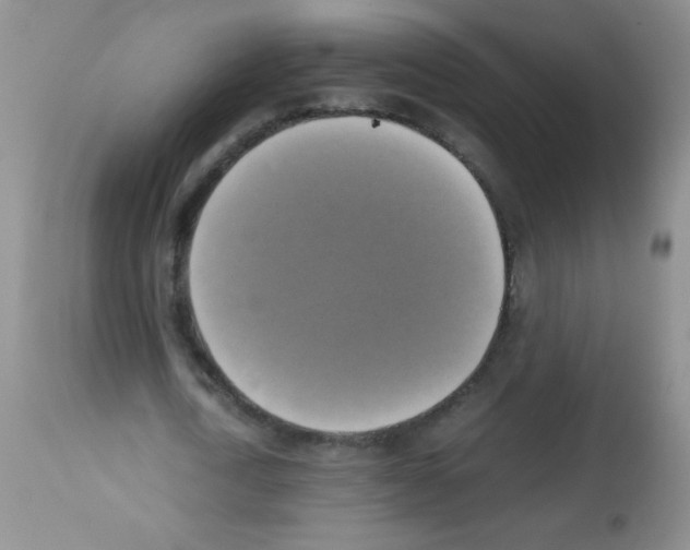 X0000113220722200910221124