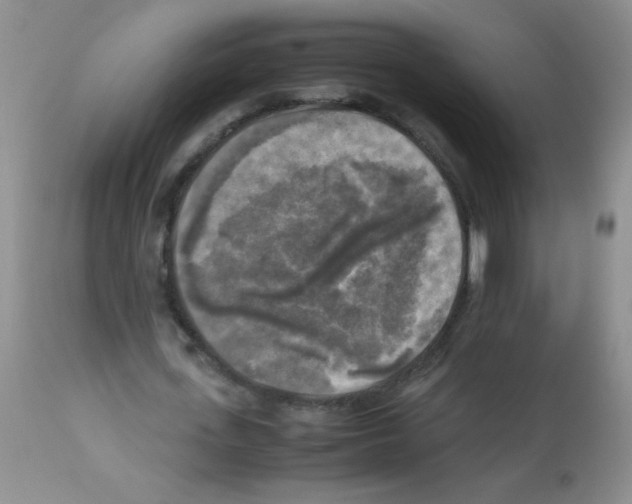 X0000113220723200910221124