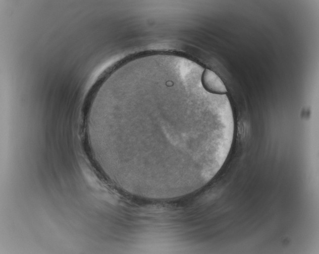 X0000113220724200910221124