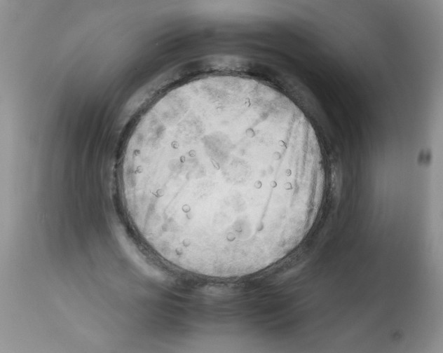 X0000113220725200910221124