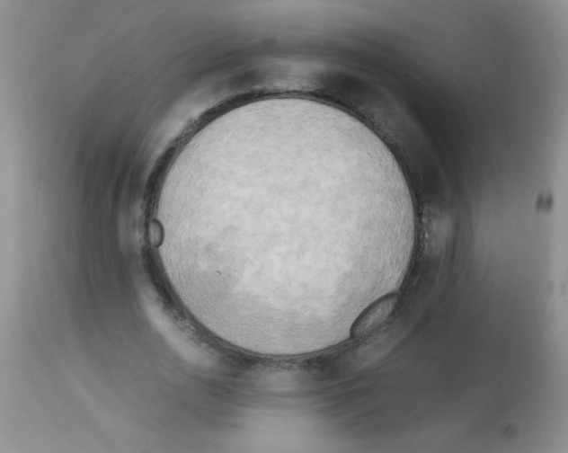 X0000113220726200910221124