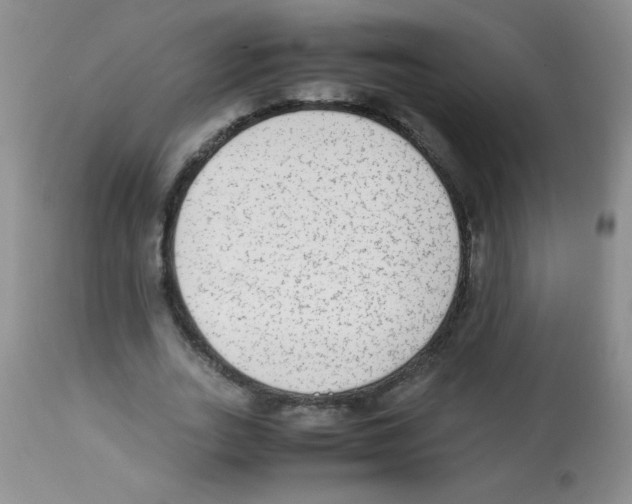 X0000113220727200910221124