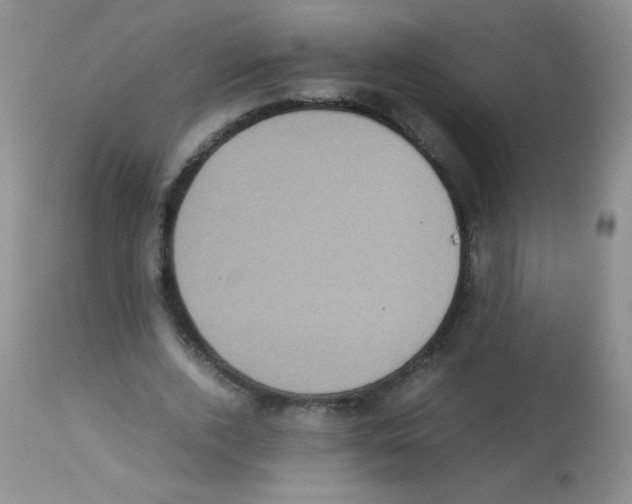 X0000113220728200910221124