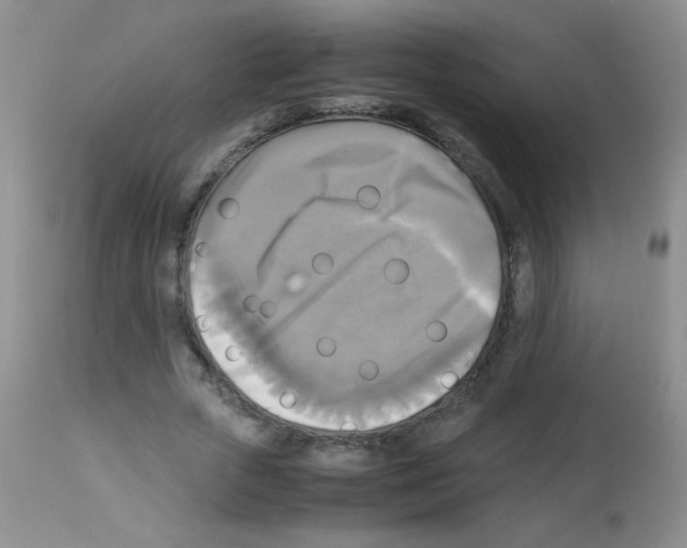 X0000113220729200910221124