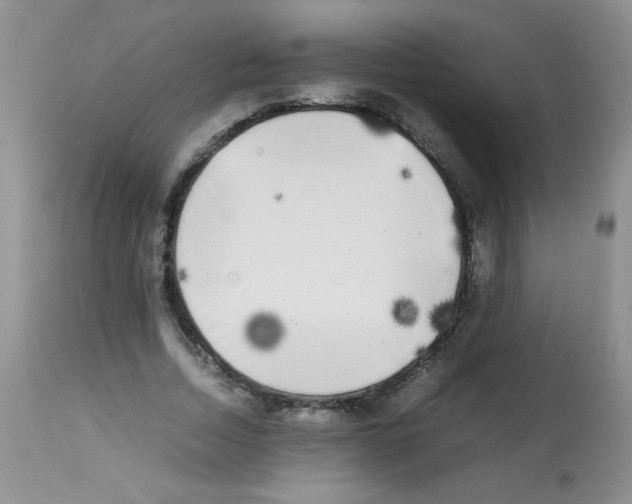 X0000113220730200910221124