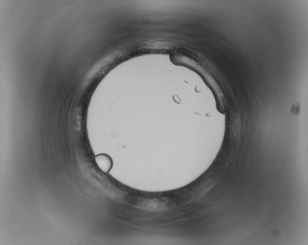 X0000113220731200910221124