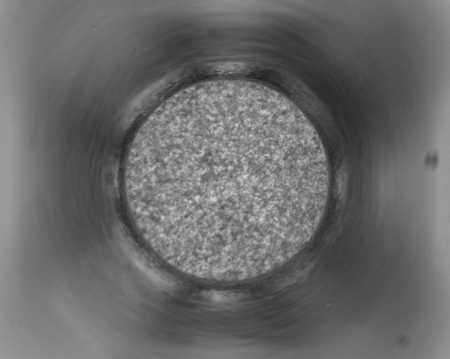 X0000113220733200910221124