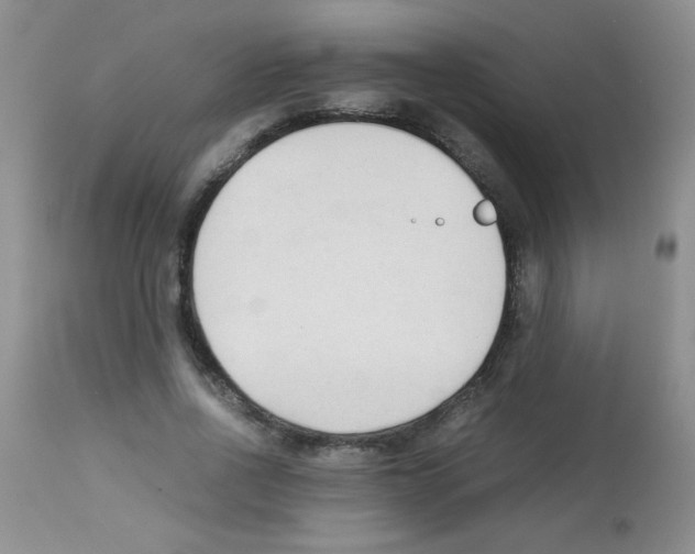 X0000113220734200910221124