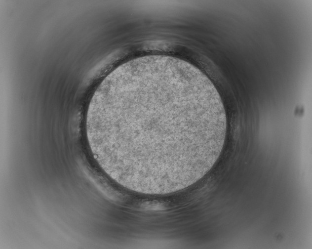 X0000113220735200910221124