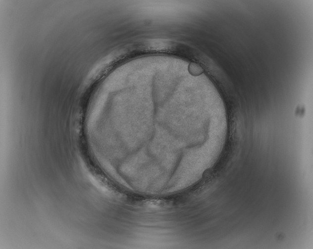 X0000113220736200910221124