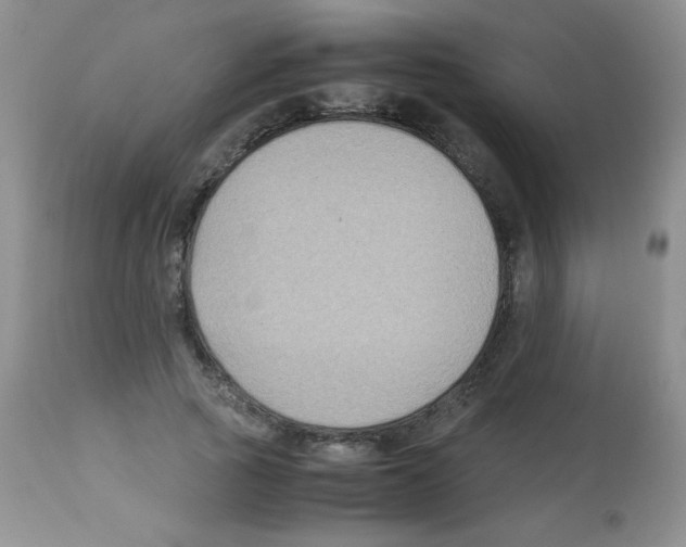 X0000113220737200910221124