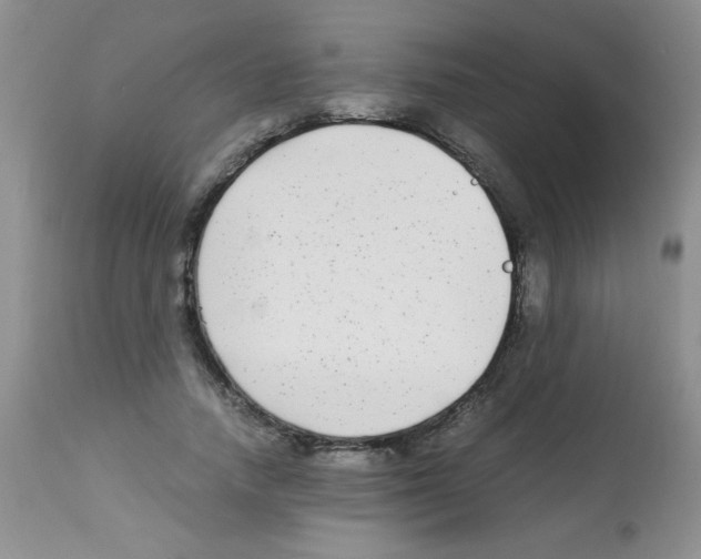 X0000113220738200910221124