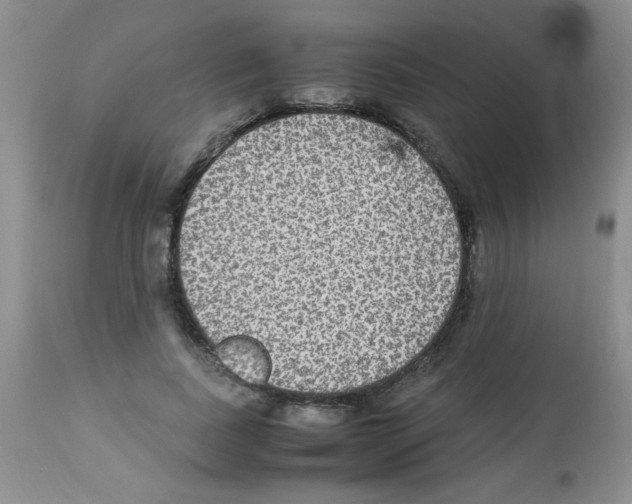 X0000113220739200910221124