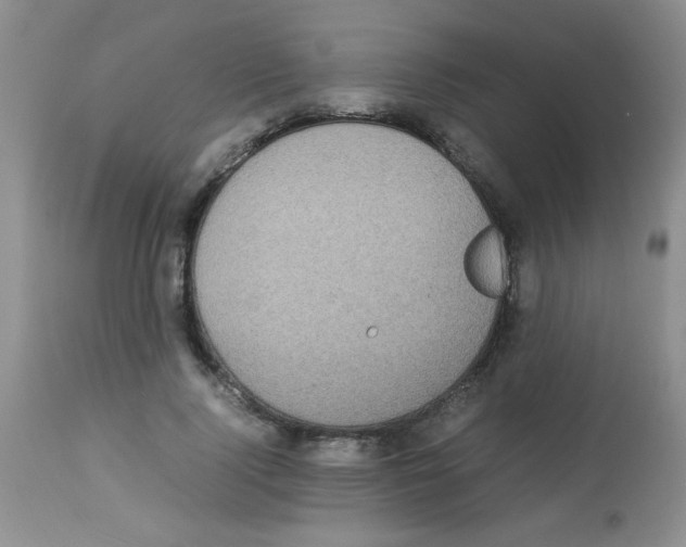 X0000113220740200910221124